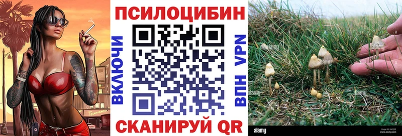 Галлюциногенные грибы GOLDEN TEACHER  Томилино 